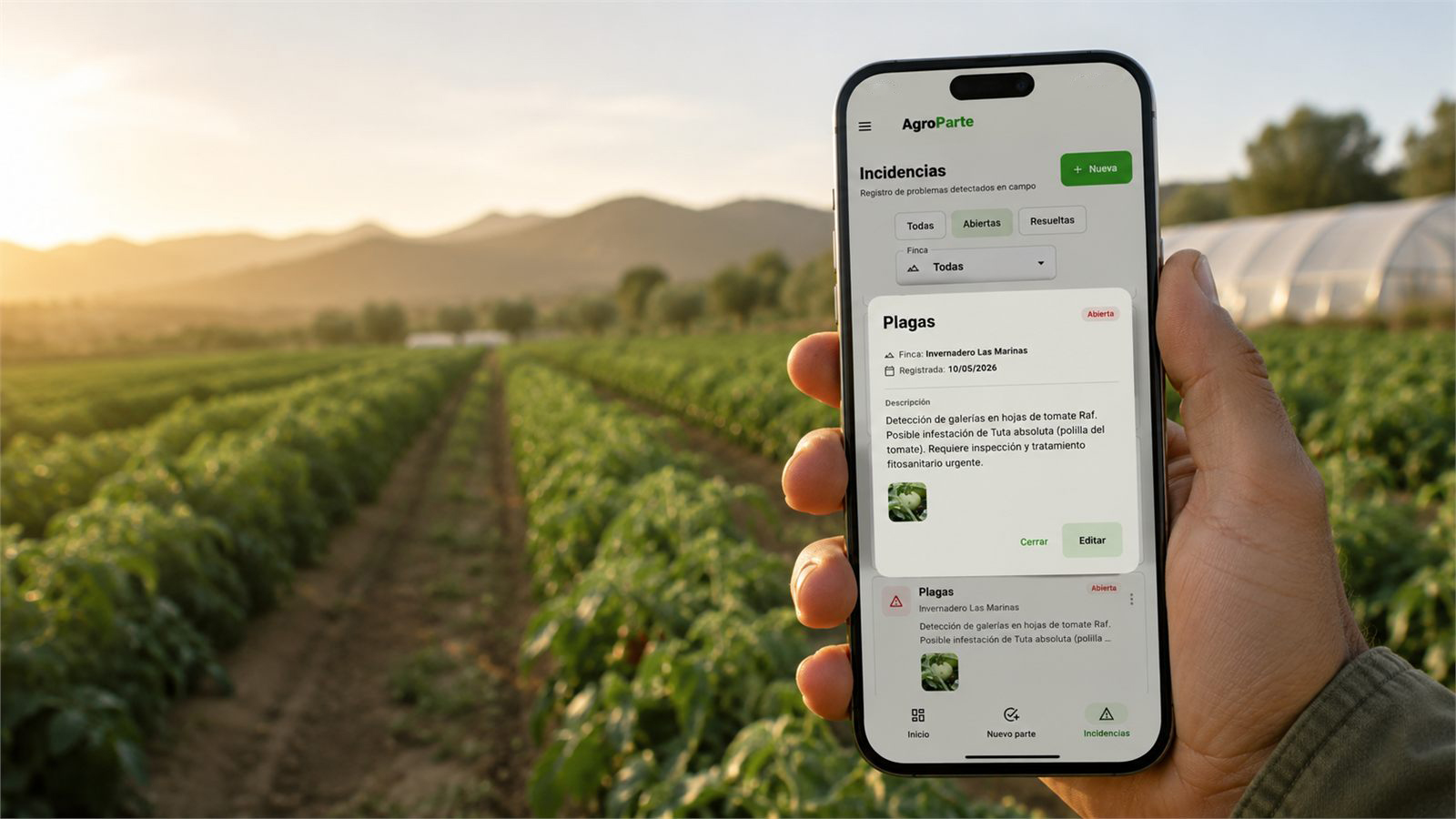 Incidencia de plagas abierta en AgroParte desde un móvil en campo